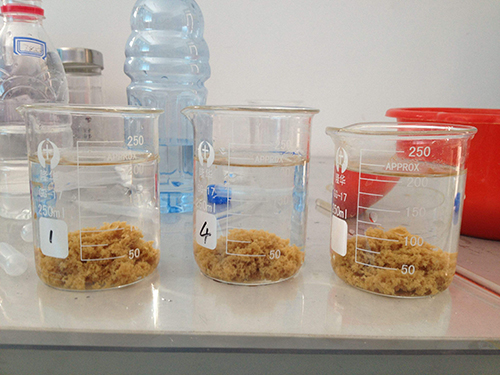 �մɏS�Uˮ�þۺ��Ȼ��X�r���x